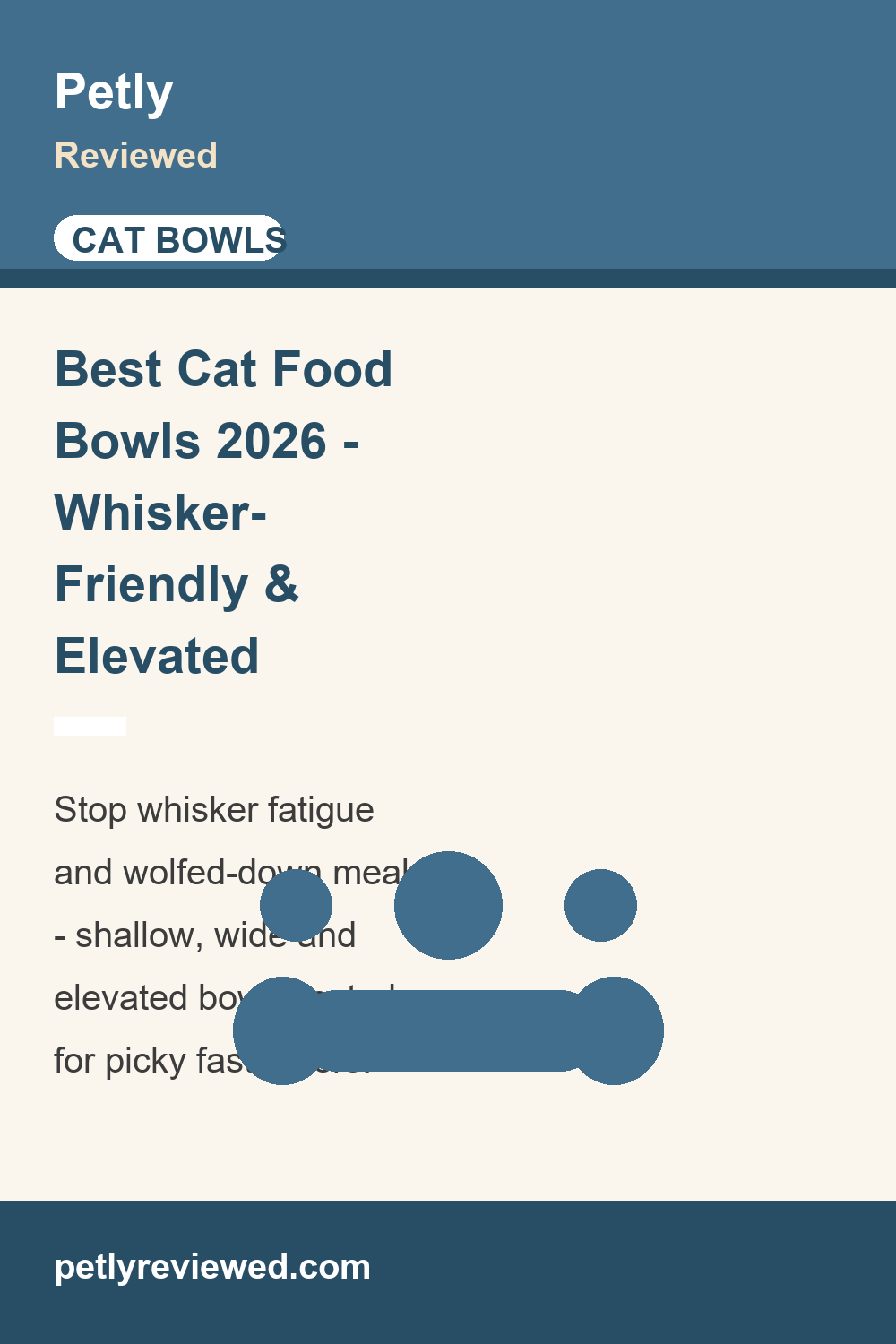 Best Cat Food Bowls