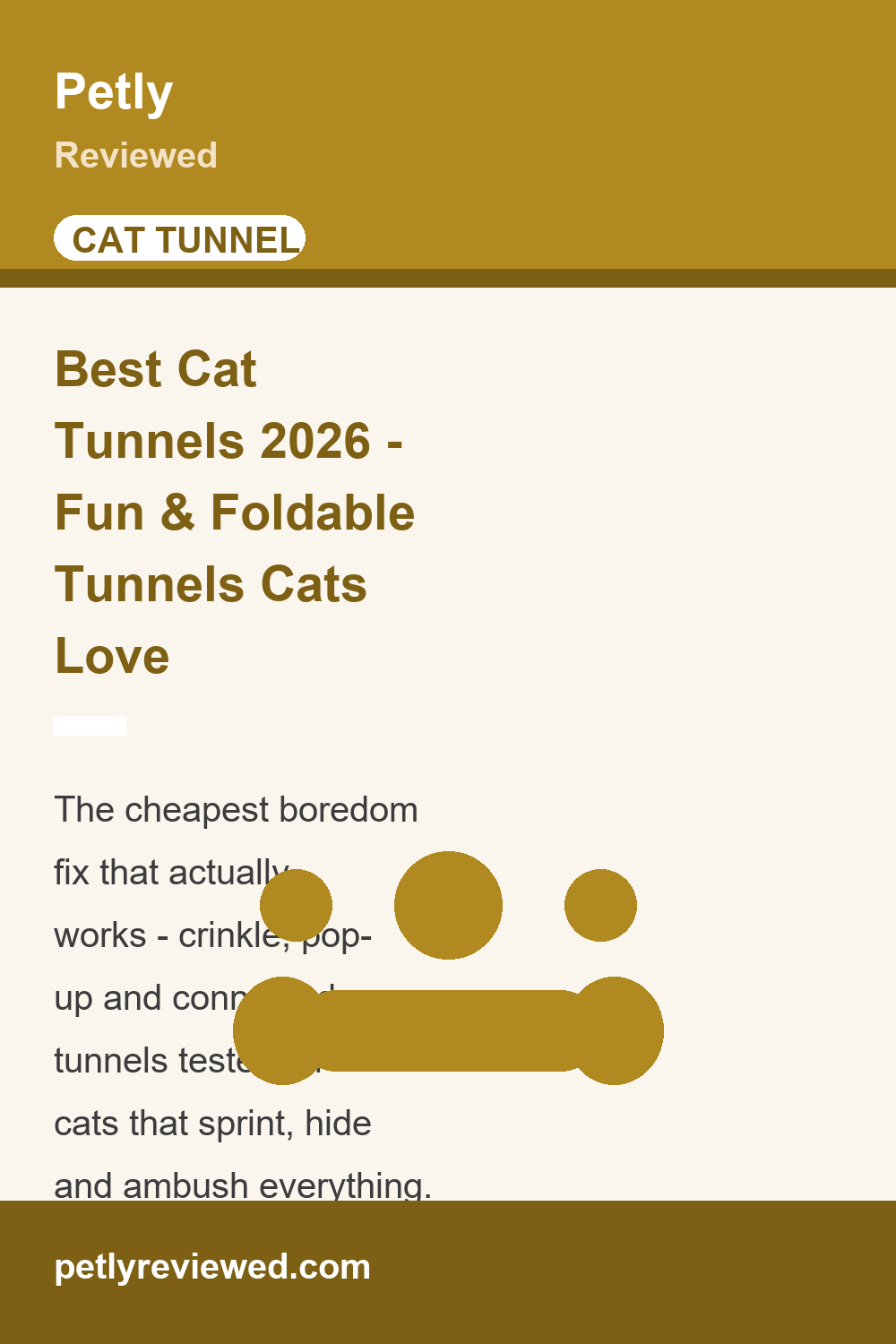 Best Cat Tunnel (2026): Fun and Foldable Tunnels Cats Love