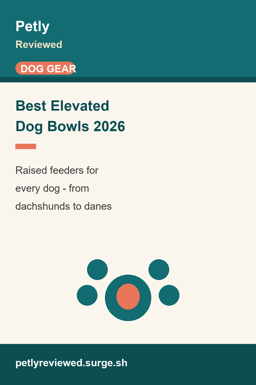 Best Elevated Dog Bowls (2026): Raised Feeders For Every Dog